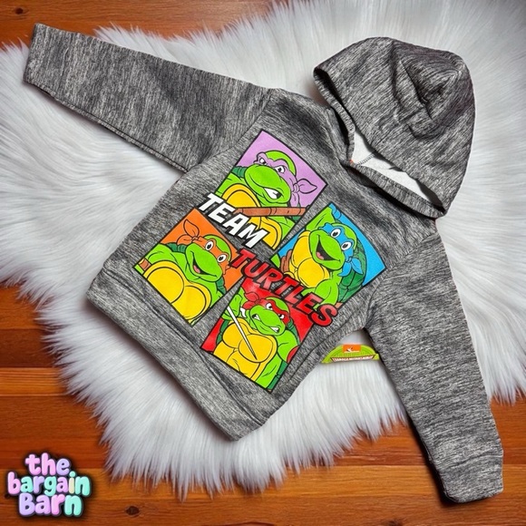 Nickelodeon Other - Nickelodeon TMNT 2022 Youth Boys Grey Graphic NWT Turtles Hoodie Jacket (4)